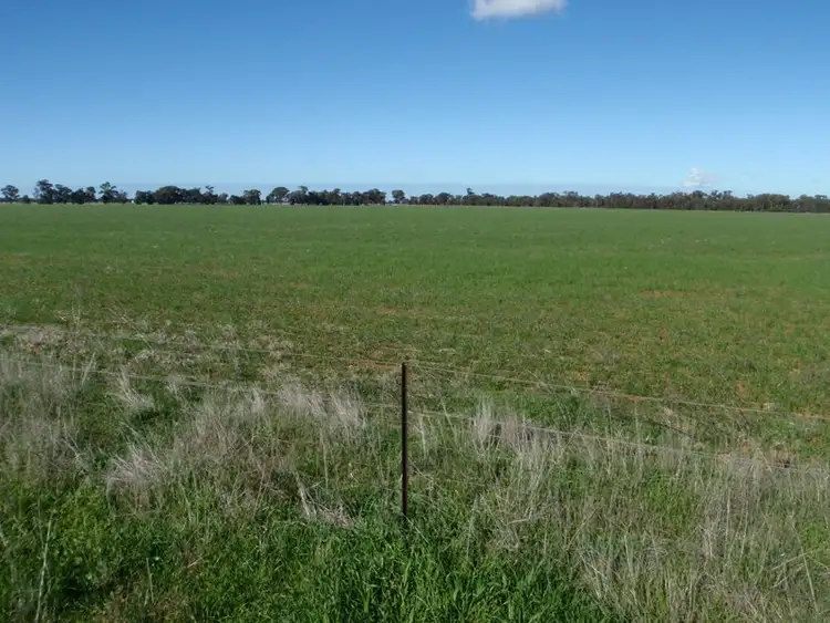 Fifth view of Homely rural property listing, Woodstock Road, Berrigan NSW 2712