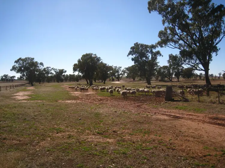 Sixth view of Homely rural property listing, Address available on request