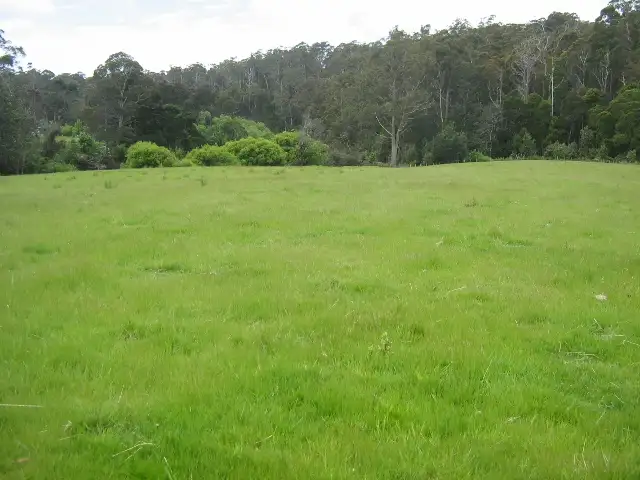 Fourth view of Homely rural property listing, 200 Perrys Road, Forthside TAS 7310