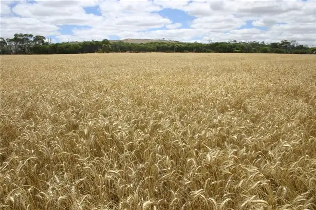 Sixth view of Homely rural property listing, Address available on request