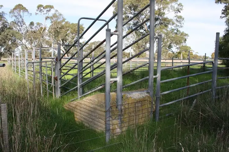 Seventh view of Homely rural property listing, 248 Cockys Lane "Carters", Lucindale SA 5272