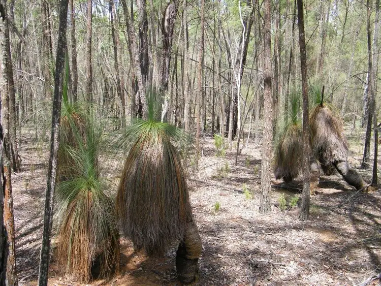 Sixth view of Homely land listing, Lot 6 Premer, Premer NSW 2381