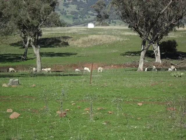 Second view of Homely house listing, 693 Swinging Ridges Road, Ardglen NSW 2338