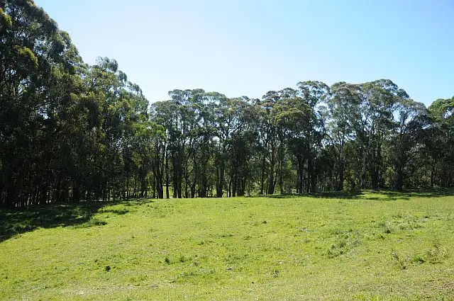 Third view of Homely rural property listing, Lots 1 + 2 Illawarra Highway, Burrawang NSW 2577
