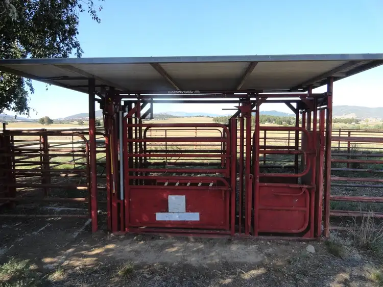 Third view of Homely rural property listing, 59 Smiths Lane, Mudgegonga VIC 3737