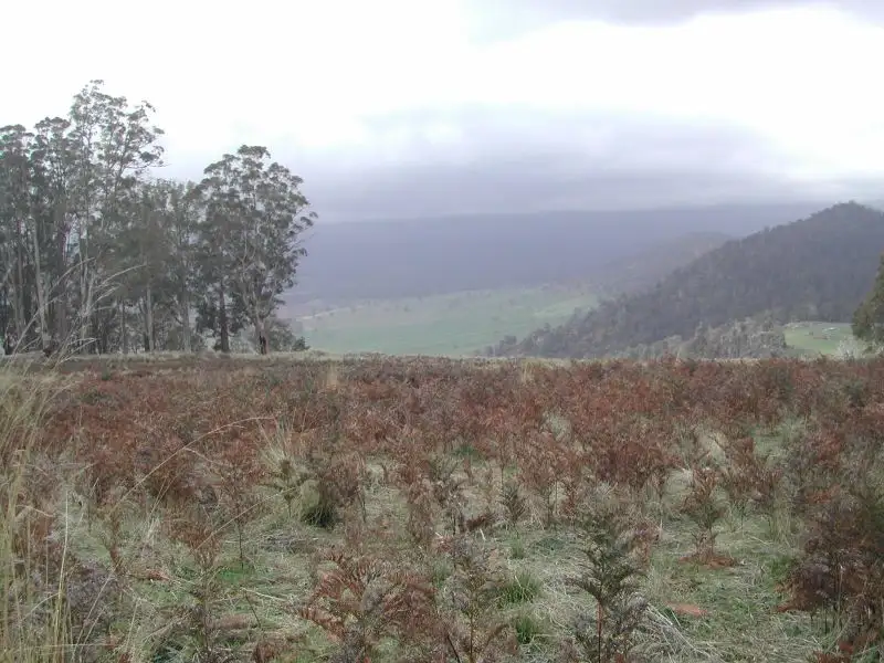 Main view of Homely rural property listing, 947 Sawpit Hill Road, Blessington TAS 7212