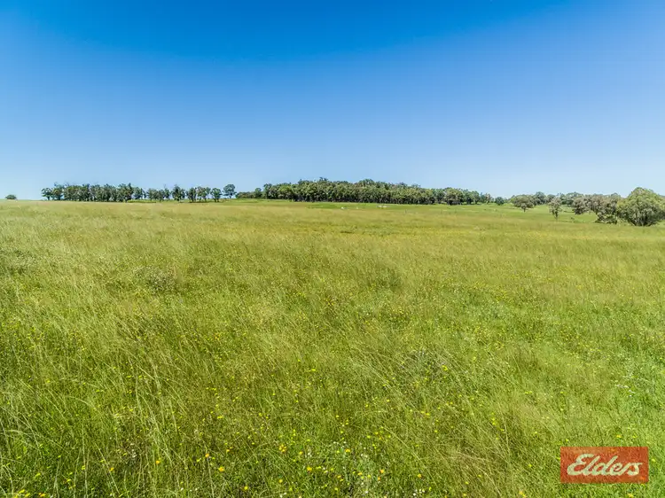 Sixth view of Homely rural property listing, Address available on request