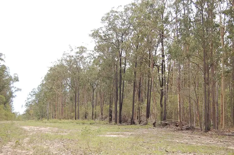 Fourth view of Homely rural property listing, Lots 1, 87, 96 & 101 Wyan Road, WYAN via, Casino NSW 2470