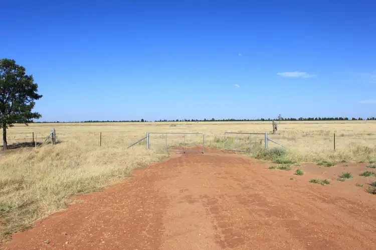 Fifth view of Homely land listing, 511 Walker Drive South, Gilgandra NSW 2827