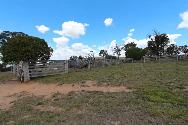 Seventh view of Homely rural property listing, 2097 Mitchell Highway, Vittoria NSW 2799