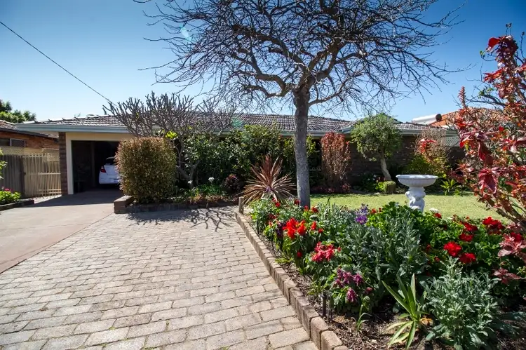 Main view of Homely house listing, 24 Travers Way, Swan View WA 6056