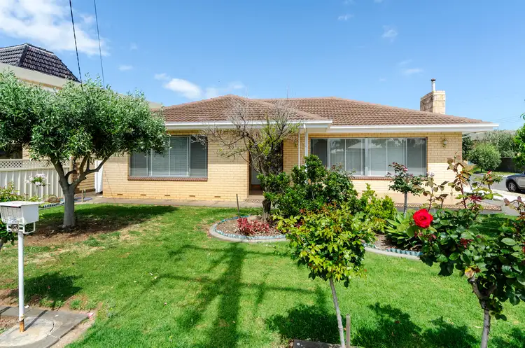20 Clifford Street, Brooklyn Park SA 5032
