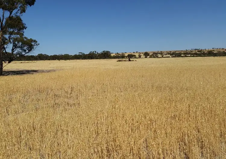 Lot 27382 Dowerin Meckering Road, Meckering WA 6405