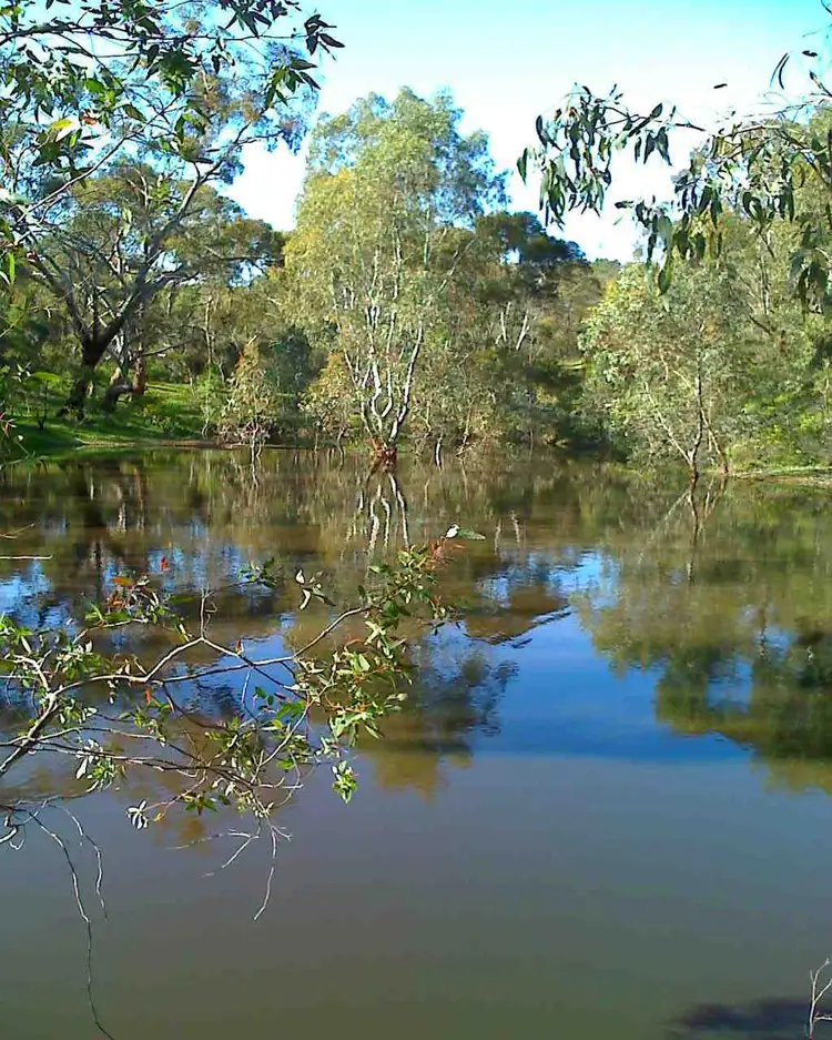 Fifth view of Homely land listing, Lot 12 Goldfields Road, Cockatoo Valley SA 5351
