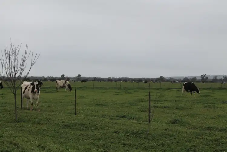 Second view of Homely rural property listing, Address available on request