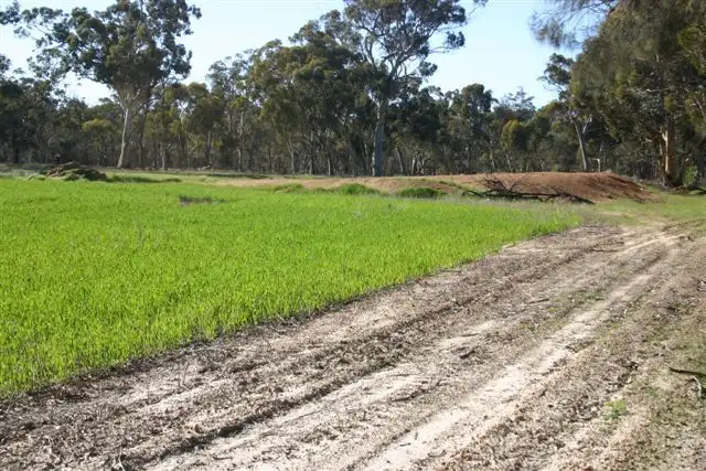 Fourth view of Homely rural property listing, 23843 Popanyinning West Road, Popanyinning WA 6309