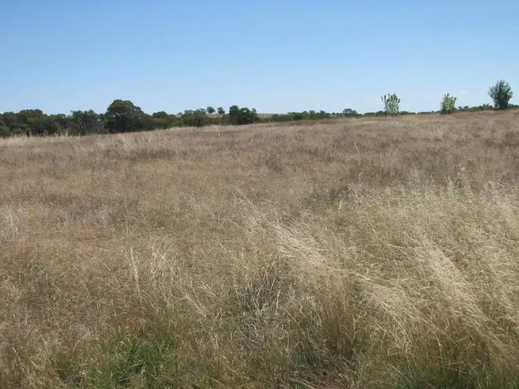 Fourth view of Homely rural property listing, 987 Monteagle Road, Young NSW 2594