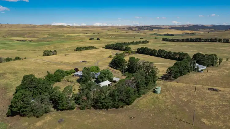 Sixth view of Homely rural property listing, 2220 The Snowy River Way, Cooma NSW 2630