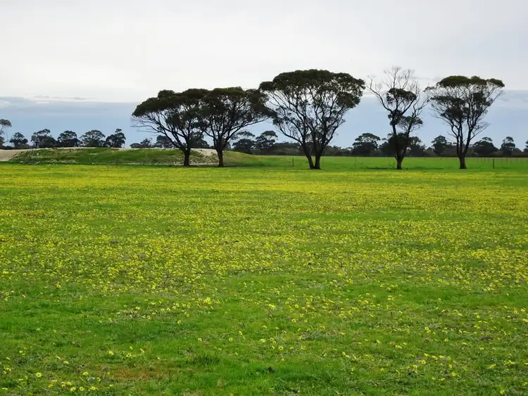 Fifth view of Homely rural property listing, "Paringa" 88 Murray Road, Bremer Bay WA 6338