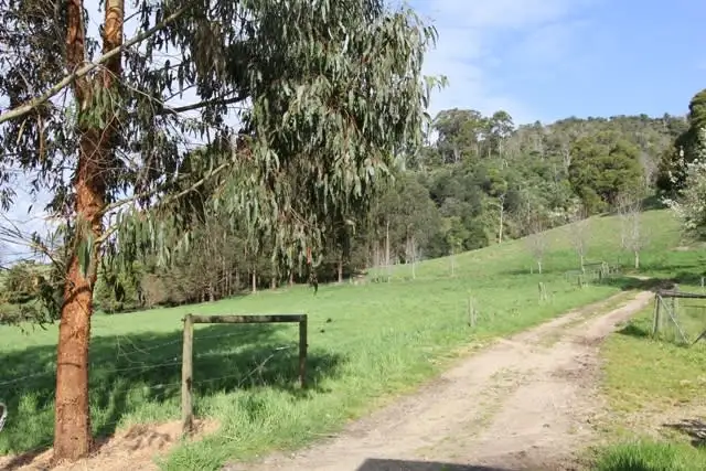 Sixth view of Homely rural property listing, "Riverleigh" Tarra Valley Road, Tarra Valley VIC 3971