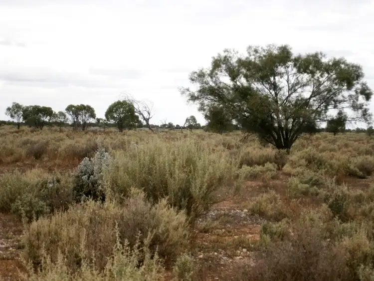 Fifth view of Homely land listing, Lot 20 Mackay Road, Blanchetown SA 5357