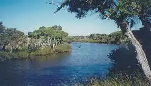 Sixth view of Homely land listing, Prop L2/L170 on Exist Lot 278A Geographe Bay Road, Quindalup WA 6281