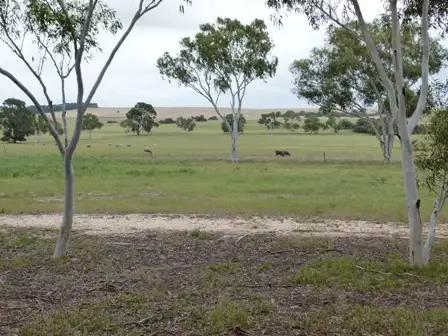 Fourth view of Homely rural property listing, 2347 Gillingarra West Road, Dandaragan WA 6507