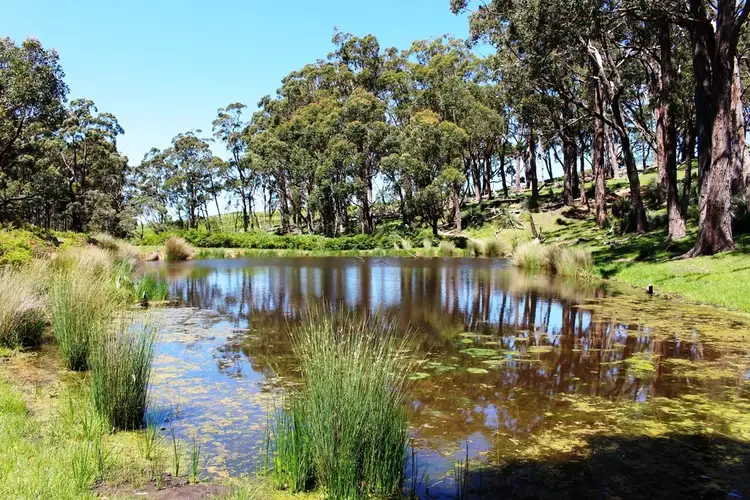 Second view of Homely rural property listing, A22 Strangways Road, Inman Valley SA 5211