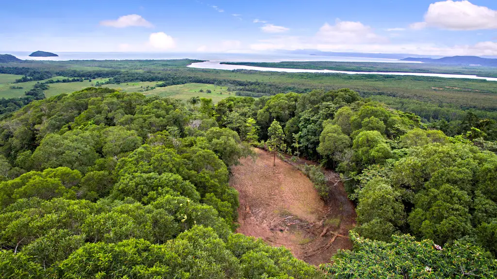 Main view of Homely land listing, 943 Cape Trib Road Kimberley, Daintree QLD 4873