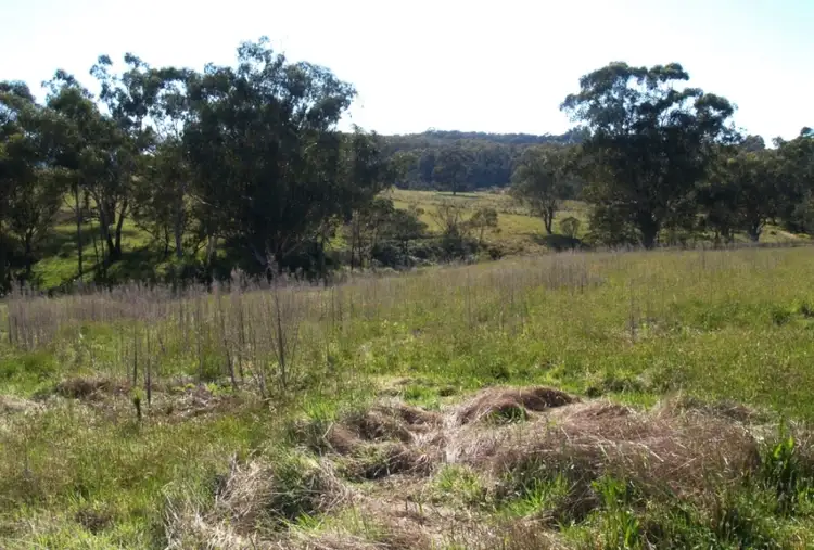 Seventh view of Homely land listing, 2340 Mount Darragh Rd, Wyndham NSW 2550
