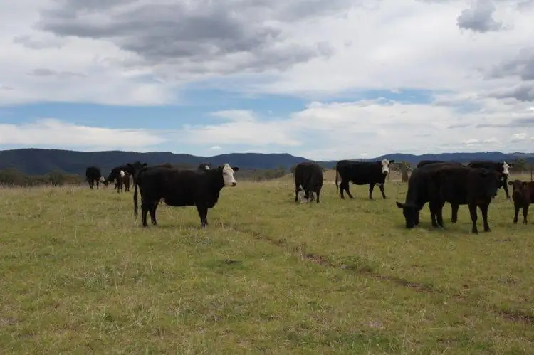 Second view of Homely rural property listing, Lot 4 1971 Towrang Rd, Goulburn NSW 2580