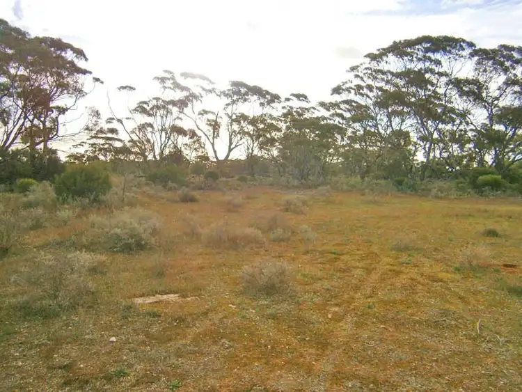 Seventh view of Homely rural property listing, Section 208 & 209 Stott Highway, Swan Reach SA 5354