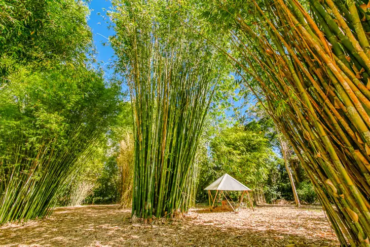 8-26 Annona Court, Palmwoods QLD 4555