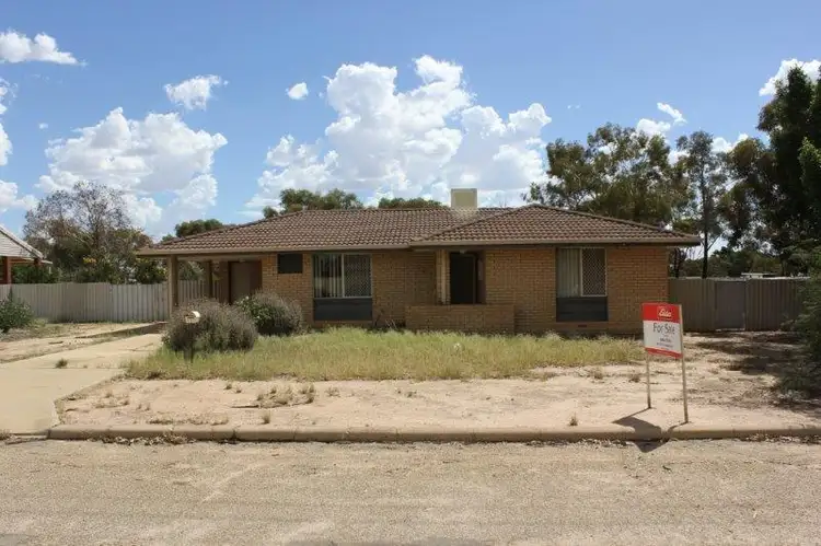 13 Dolton Way, Merredin WA 6415
