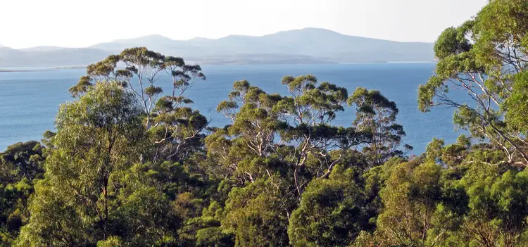 Third view of Homely house listing, Lot 1/4 Correa Street, Primrose Sands TAS 7173