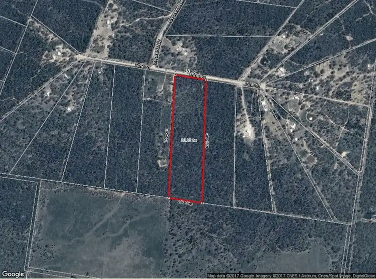 Seventh view of Homely rural property listing, 58 Pine Close, Mudgee NSW 2850