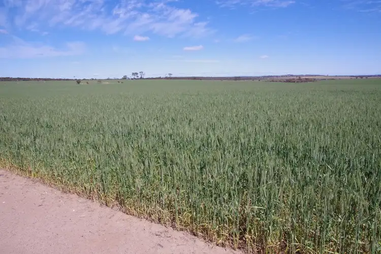 Third view of Homely rural property listing, Dalawn Corrigin Narembeen Rd, Corrigin WA 6375