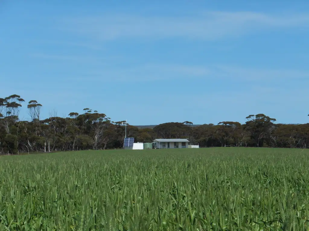 Main view of Homely land listing, Lot 1393 South Coast Highway, Ravensthorpe WA 6346