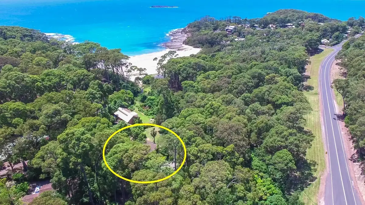 Main view of Homely house listing, 31 Lilli Pilli Road, Lilli Pilli NSW 2536