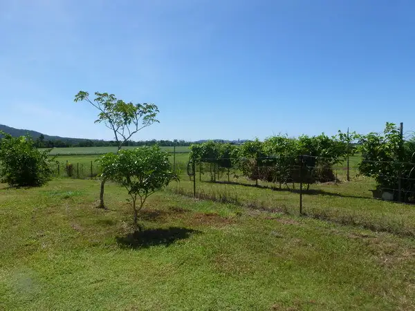 Fifth view of Homely rural property listing, Address available on request