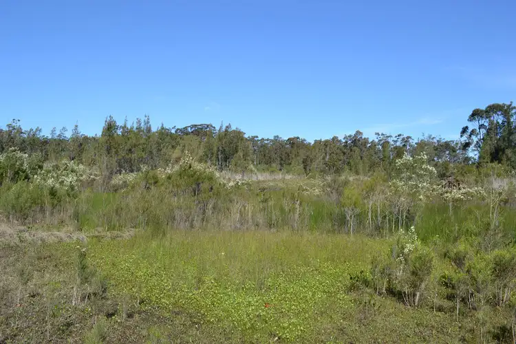 Seventh view of Homely rural property listing, 79 Willowford Road, Woollamia NSW 2540