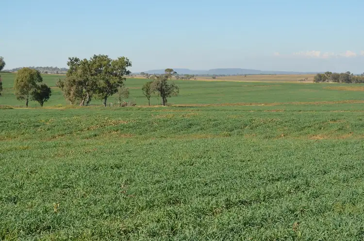 Fifth view of Homely rural property listing, 766 Umbiram Road, Umbiram QLD 4352