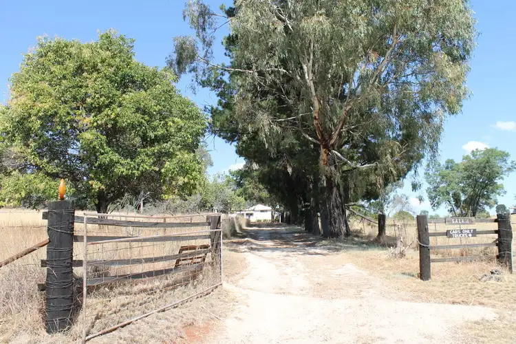 91 Clinton Lane, Inverell NSW 2360