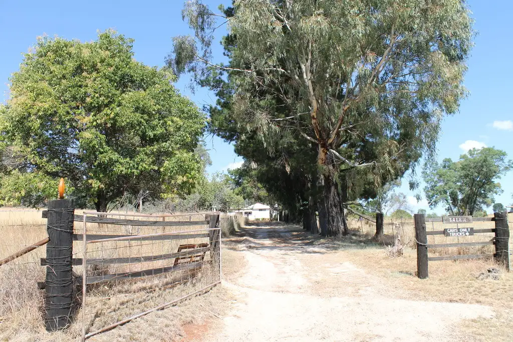Main view of Homely rural property listing, 91 Clinton Lane, Inverell NSW 2360