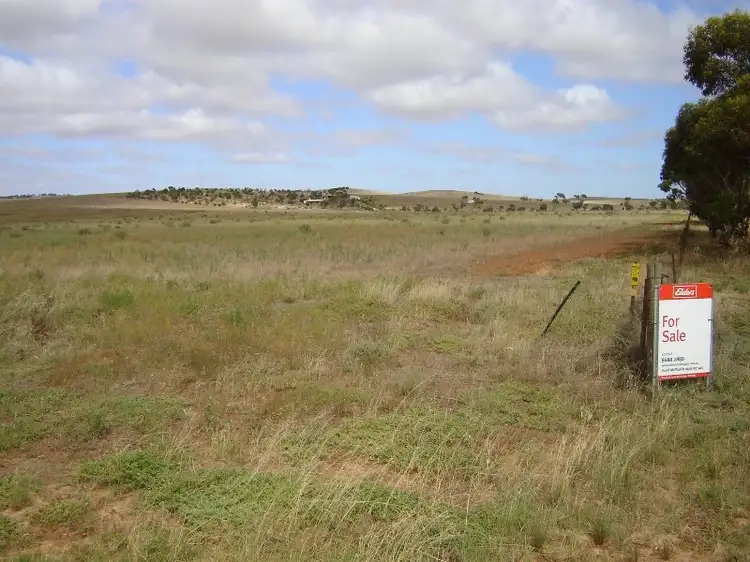 452 Morris Road, Tumby Bay SA 5605