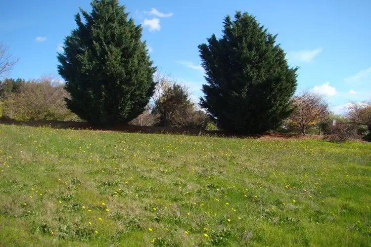 Fifth view of Homely land listing, Lot 11 Jacaranda Place, Bridgetown WA 6255