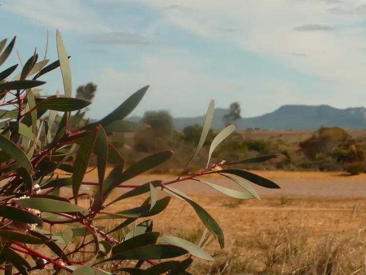 Fourth view of Homely land listing, 540 Acacia Drive, Hopetoun WA 6348