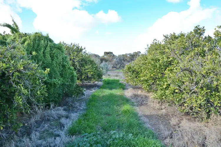 Second view of Homely land listing, Lot 6 Channel Road, Curlwaa NSW 2648