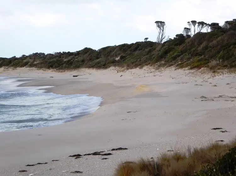 Sixth view of Homely land listing, PID 7557661 North East River Road, Flinders Island TAS 7255