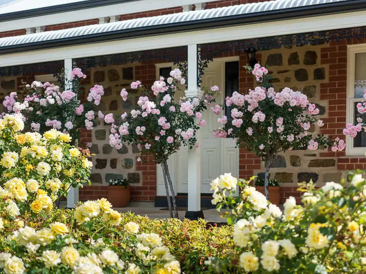 Second view of Homely house listing, 37 Benjamin Gray Drive, Littlehampton SA 5250